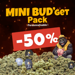 La Mini Bud'get pack de Maurice