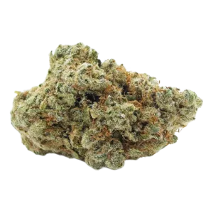 Northern Lights