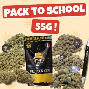 Pack To School 55G