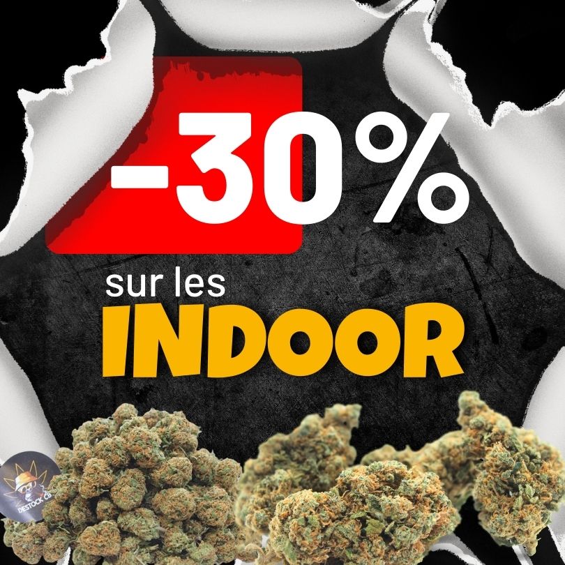 -30% de réduction sur les indoors durant le Black Friday chez Destock CBD