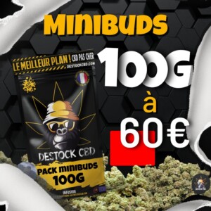 100G de Mini Buds pour seulement 60€ durant le Black Friday