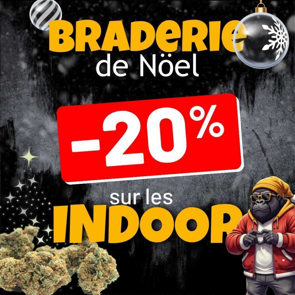 Les indoors CBD reviennent à -20% pour la braderie de Noël.