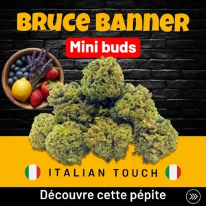 Bruce Banner Mini buds