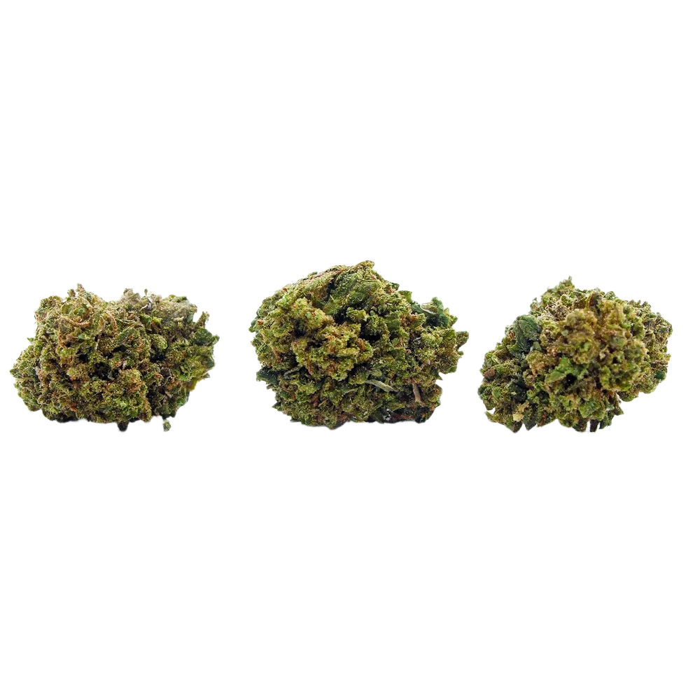 Bruce_Banner_Mini_Buds_CBD_Premium_Pas_Cher_Bon_plan_8577