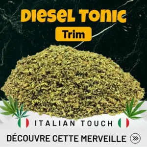 Trim Diesel Tonic Premium