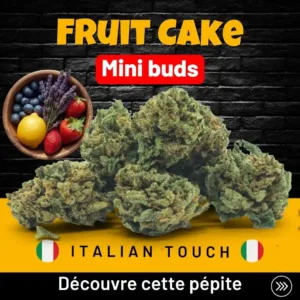 Fruit Cake Mini buds CBD