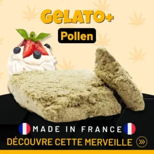 Gelato+ Pollen Premium