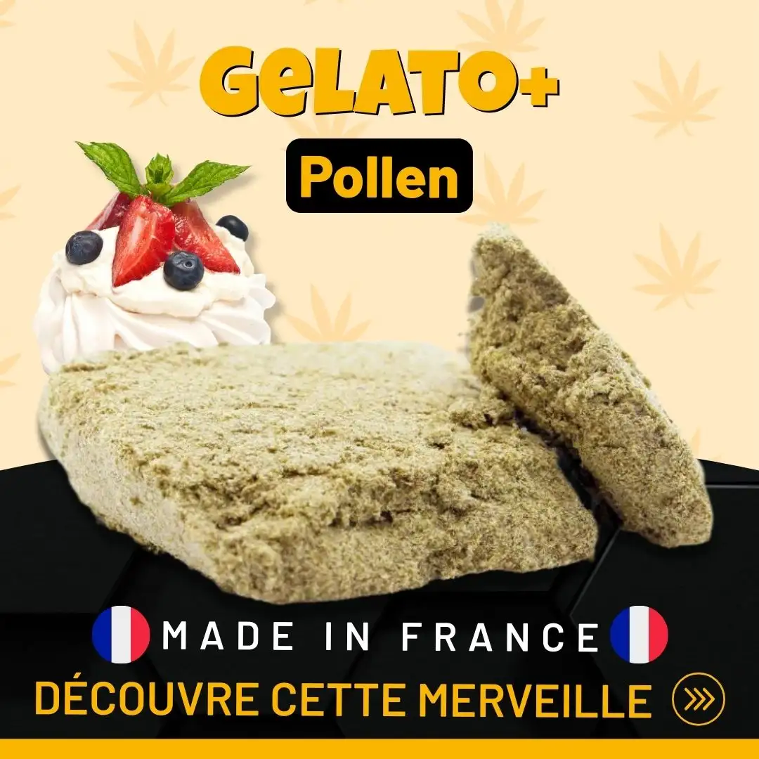 Gelato_Premium_CBD_Pollen_Francais_Top_Qualite_pas_Cher