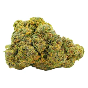 Layer Cake Hybride Premium