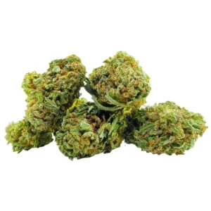 Lemon Cheese Cake Small Buds