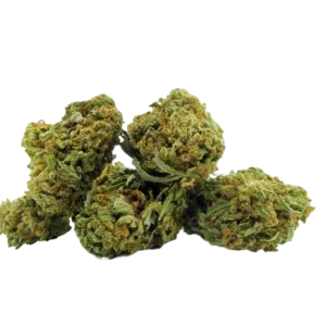 Lemon_Cheese_Cake_Small_Buds_CBD_Premium_Pas_Cher_Bon_plan_8434