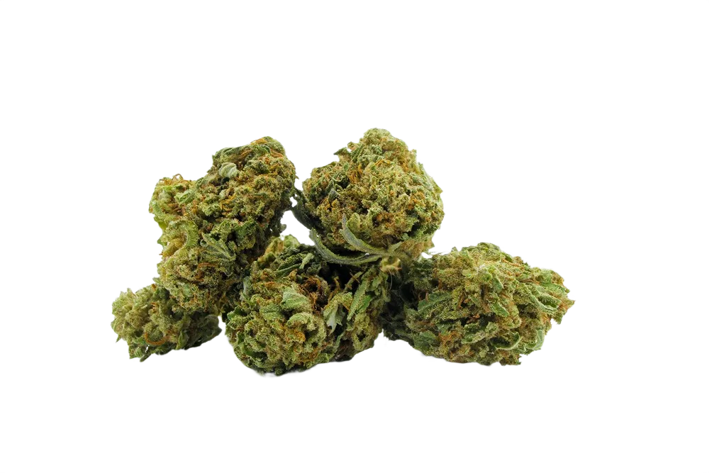 Lemon_Cheese_Cake_Small_Buds_CBD_Premium_Pas_Cher_Bon_plan_8434