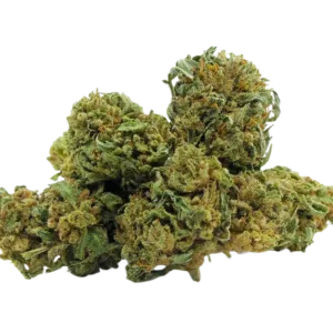 Lemon_Cheese_Cake_Small_Buds_CBD_Premium_Pas_Cher_Bon_plan_8437