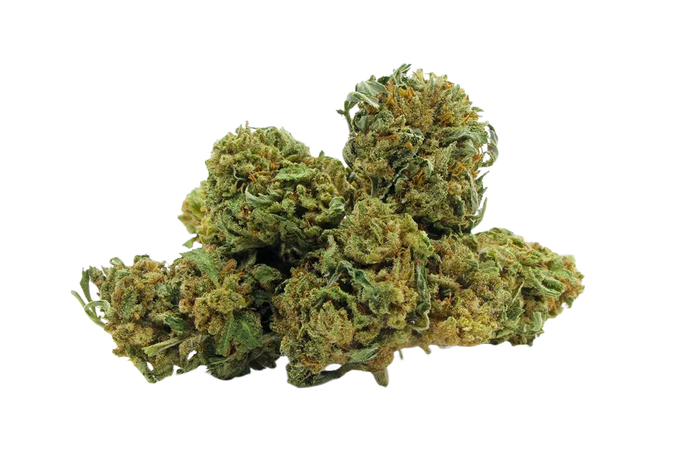 Lemon_Cheese_Cake_Small_Buds_CBD_Premium_Pas_Cher_Bon_plan_8437