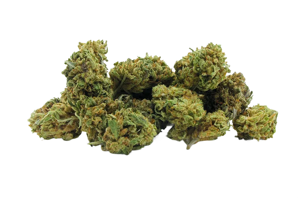 Lemon_Cheese_Cake_Small_Buds_CBD_Premium_Pas_Cher_Bon_plan_8439