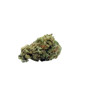 Lemon_Cheese_Cake_Small_Buds_CBD_Premium_Pas_Cher_Bon_plan_8442