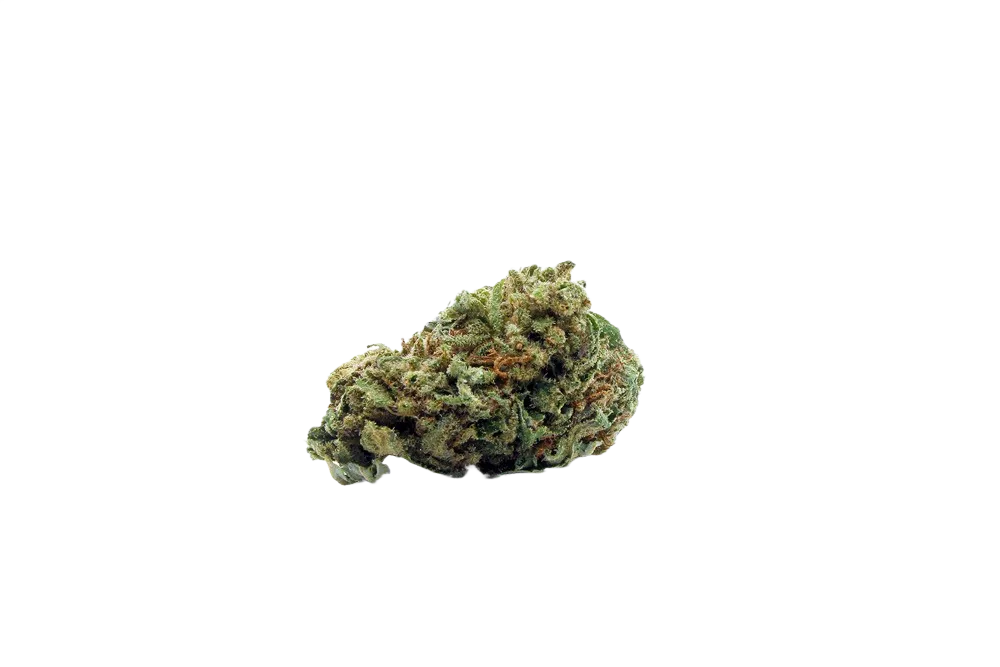Lemon_Cheese_Cake_Small_Buds_CBD_Premium_Pas_Cher_Bon_plan_8442
