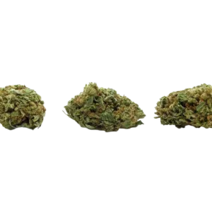 Lemon_Cheese_Cake_Small_Buds_CBD_Premium_Pas_Cher_Bon_plan_8444
