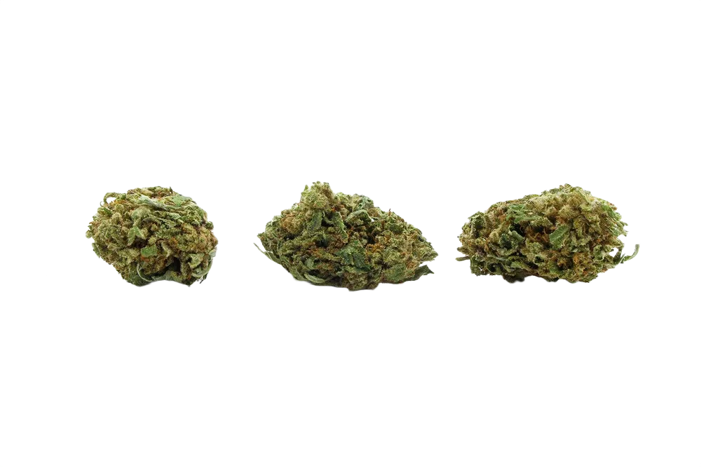Lemon_Cheese_Cake_Small_Buds_CBD_Premium_Pas_Cher_Bon_plan_8444