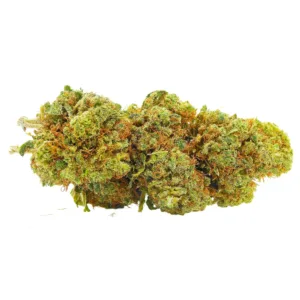 Lemon Haze Hybrid Premium