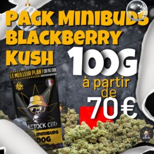 Mini Buds 100G BlackBerry Kush à 70€