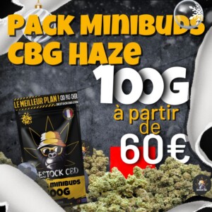 Pack Mini Buds 100G CBG Haze à 60€