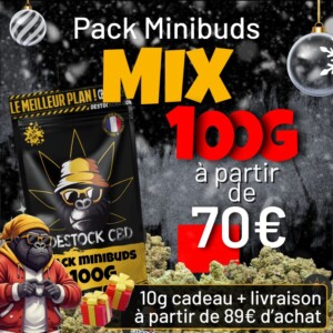 Pack liquidation Mini Buds CBD 100G à 70€ pour la braderie de Noël