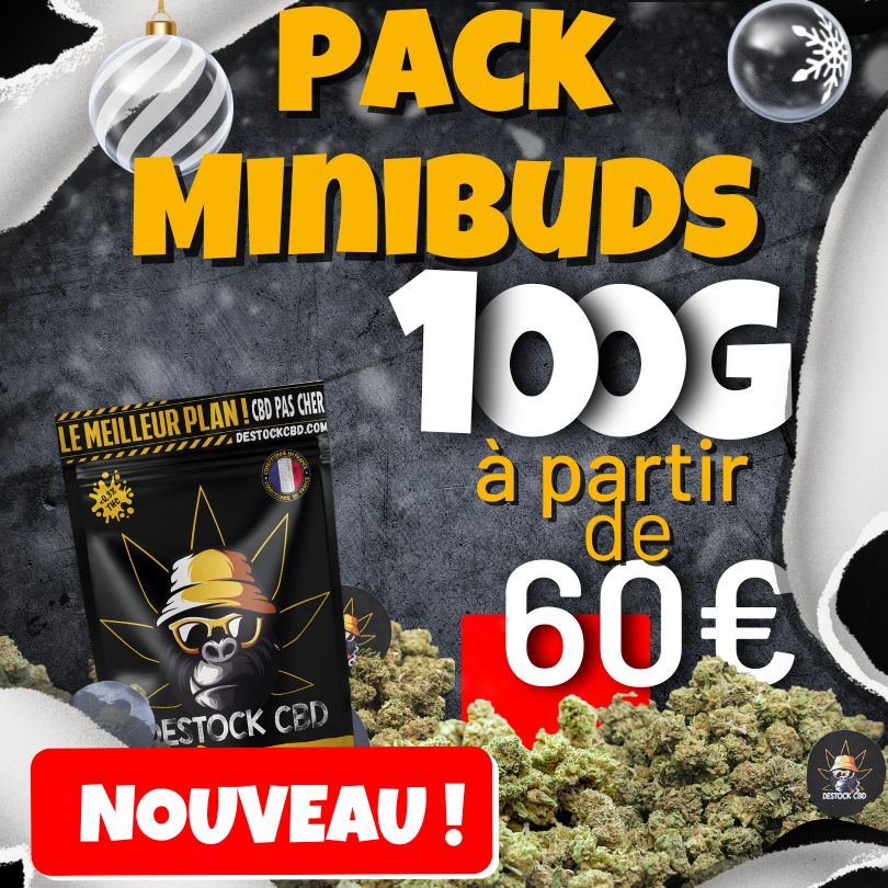 Pack de mini buds 100 gramme à partir de 60€ chez Destock uniquement.