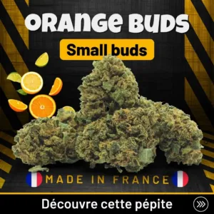 Orange buds Small Buds CBD