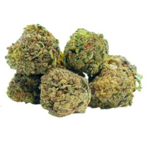 Royal Fire Og Small Buds