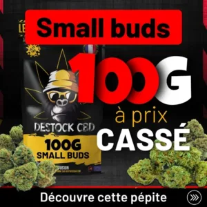 Grossiste CBD - Sachet 100g Small Buds fleurs de CBD récolte 2026 - Format maxi économique
