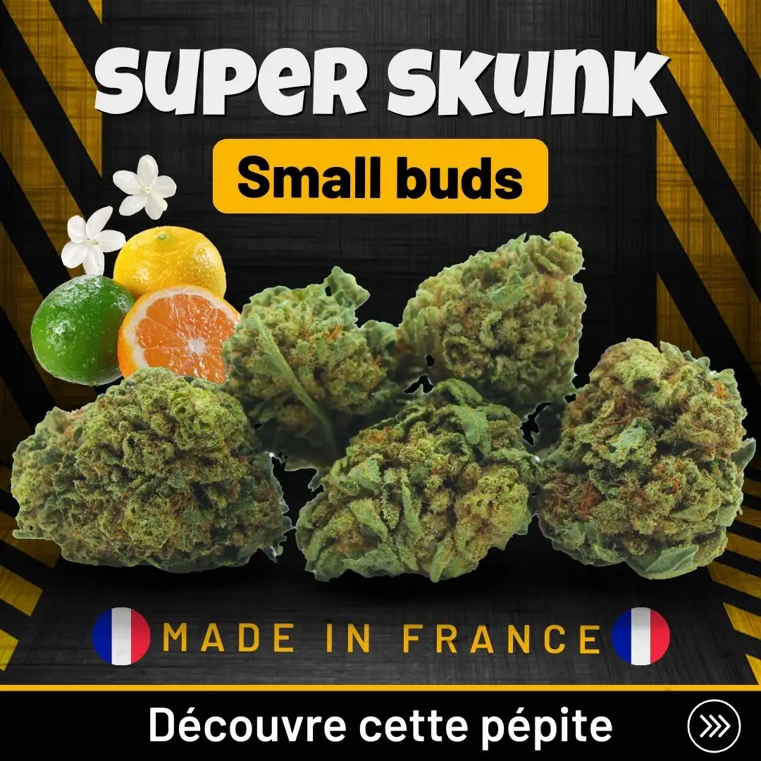 Super_Skunk_Small_Buds_CBD_France_Premium_Top_Qualtié_Pas_Cher Super_Skunk_Small_Buds_CBD_France_Premium_Top_Qualtié_Pas_Cher