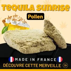 Tequila Sunrise Pollen Premium