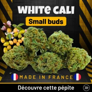 White Cali Small buds