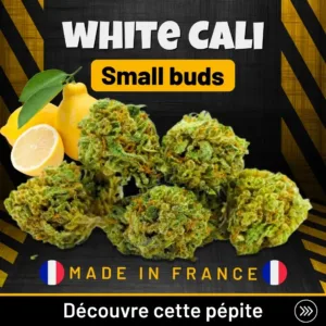 White Cali Small buds. CBD pas cher chez Destock CBD