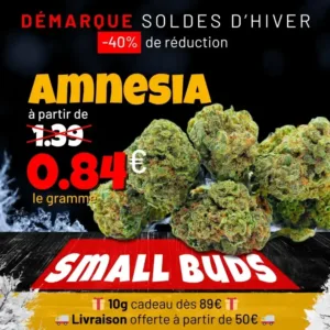 Soldes d'hiver -40% : Amnesia small buds CBD à partir de 0,84€ le gramme chez Destock CBD.