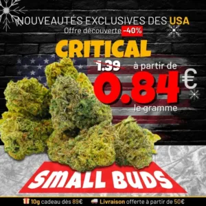 Soldes d'hiver -40% : Nouveauté Critical small buds CBD à partir de 0,84€ le gramme.