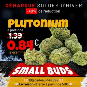 Soldes d'hiver -40% : Nouveauté Plutonium small buds CBD à partir de 0,84€ le gramme.