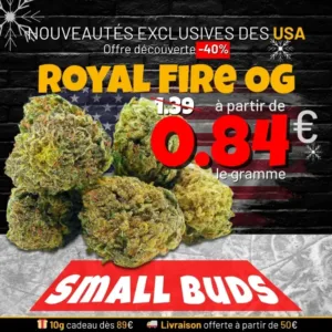 Soldes d'hiver -40% : Nouveauté Roual Fire OG small buds CBD à partir de 0,84€ le gramme.