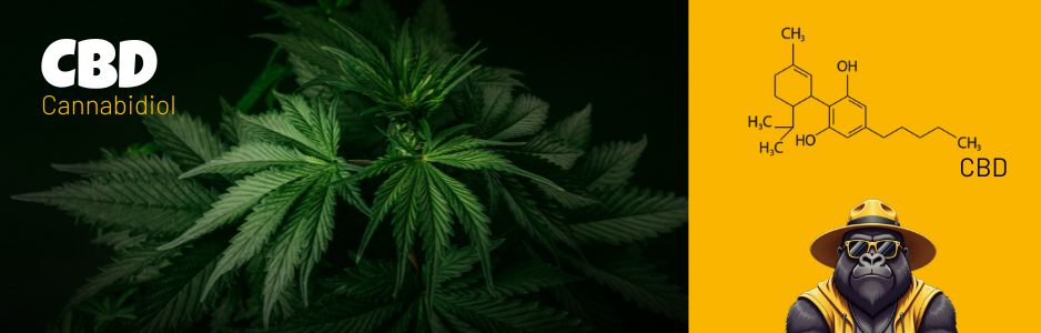 Structure chimique du CBD - Destock CBD