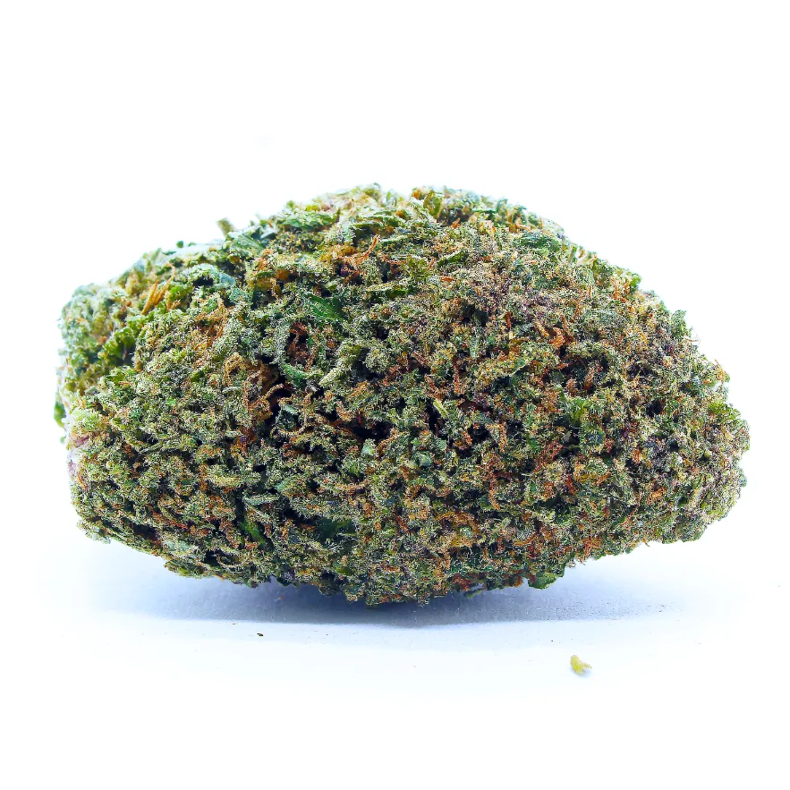 Purple_Snowman_Big_Buds_Glasshouse_Hybride_CBD_Premium_Meilleur_CBD_Pas_Cher_Bon_plan_85828870 copie