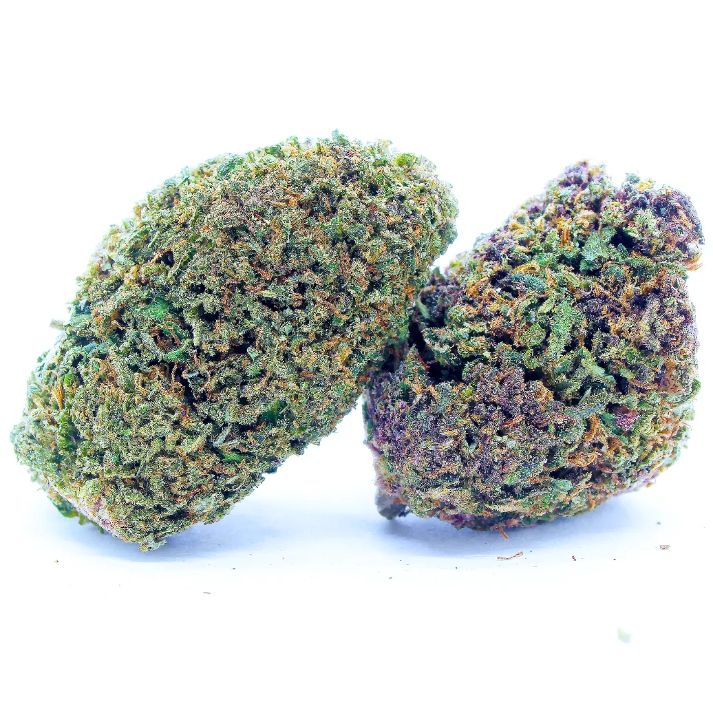Purple_Snowman_Big_Buds_Glasshouse_Hybride_CBD_Premium_Meilleur_CBD_Pas_Cher_Bon_plan_85828872 copie