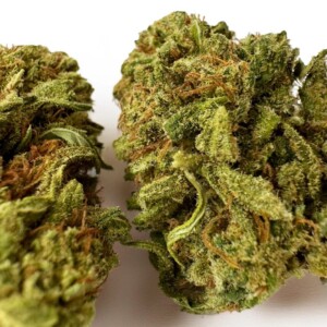 Amnesia Hybride Premium_CBD