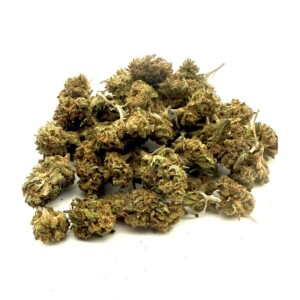 Blueberry Sour Mini Buds Indoor
