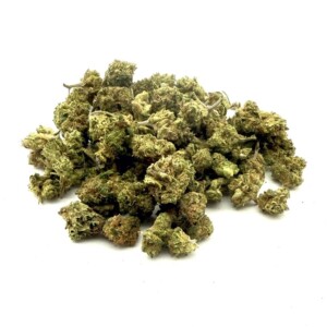 Plutonium Mini buds