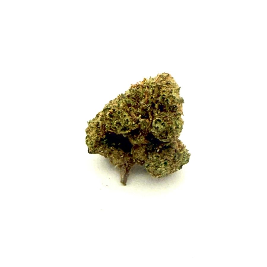 2_Mini buds Plutonium_CBD (2carré).HEIC
