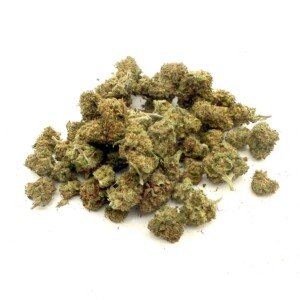 Space Candy Mini Buds Indoor