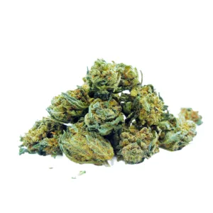 Amnesia Haze Mini buds Cali Hydro