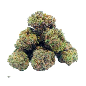 Blueberry Sour Mini Buds Indoor