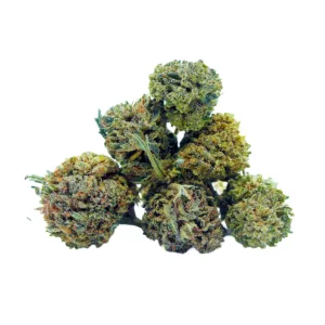 Critical Mini Buds